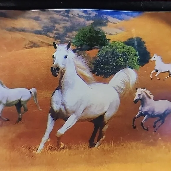 WILD WHITE HORSES WOOD BOX-- FOLDING POCKET KNIFE-- STAINLESS STEEL. - Picture 2 of 6